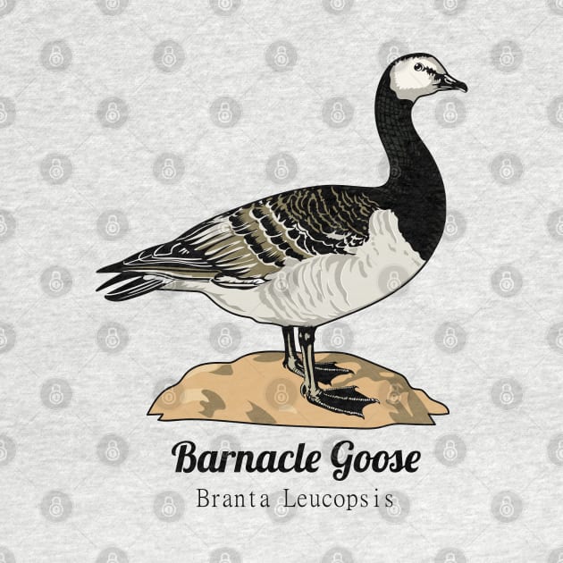 Barnacle Goose by Frajtgorski